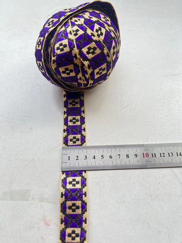 Cinta Pasamanería Bordada India Delgada Morado